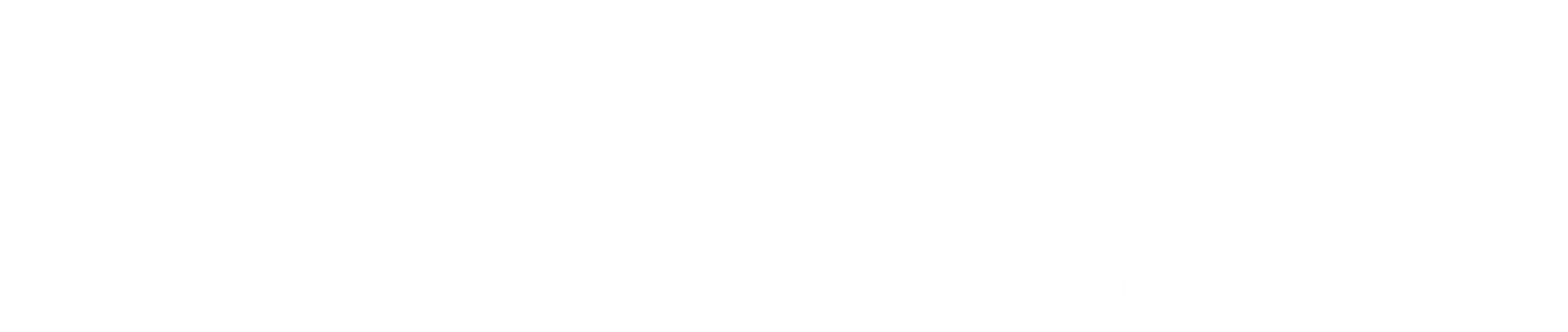 logo longecar branco